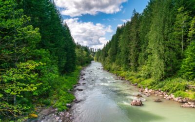 Home Builder Cowlitz